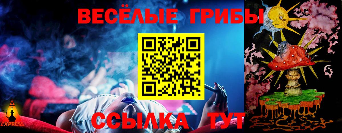 Галлюциногенные грибы Psilocybe Дятьково